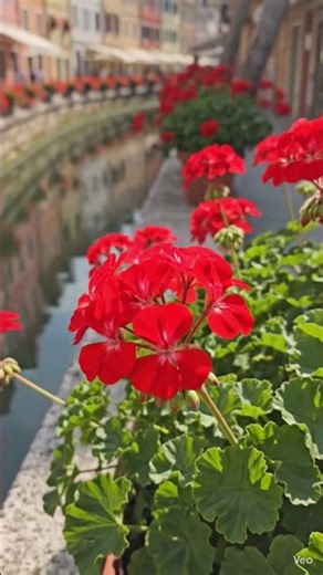 This Town in France Looks Like a Real-Life Fairytale 🇫🇷✨