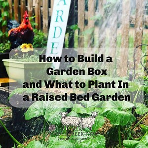 How to Build a Garden Box and What to Grow in it.