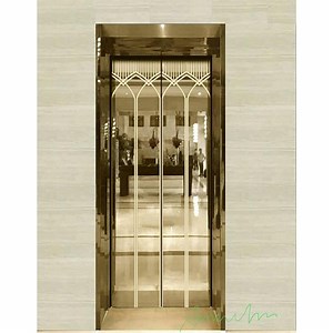 [Hot Item] Private Duplex Home Lift Elevator Passenger Elevator House Elevator Domestic Elevator