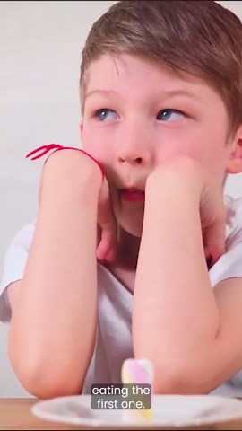 Cephalopods Passed a Cognitive Test Designed For Human Children