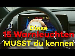 WARNING LIGHTS + INDICATOR LIGHTS Tutorial: What to do if something flashes in the cockpit? | Che...