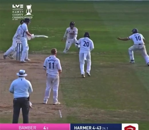 Cricket County Championship in England