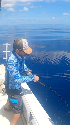 That didn’t take long! We dropped down a live pinfish to the bottom and it didn’t take long to get bit! #fishing #pinfish #deepseafishing | Groupermvp