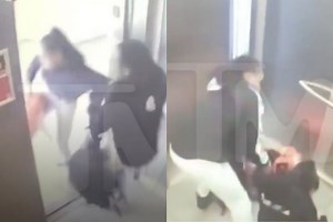 Quavo and Saweetie: Video Footage of Exes Fighting Over Suitcase Inside Elevator Goes Viral, Twitter Reacts
