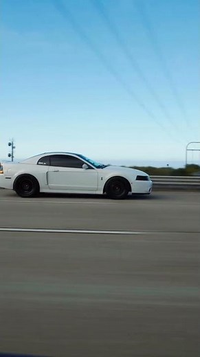 03 Mustang SVT Cobra “terminator”. The Mustang that changed the game!