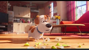 Hier kommt der neue Trailer für Pets und eure Ohren werden schlackern! Diese deutschen Stars leihen unseren Lieblingshaustieren ihre Stimme: Jan Josef Liefers, Dietmar Bär, Fahri Yardim, Jella Haase, Martina Hill, Mario Barth, LeFloid, Uwe Ochsenknecht, Frederick Lau, Dieter Hallervorden, Stefanie Heinzmann und Ralf Richter! | Universal Pictures