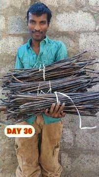 Day 36 challenge | challenge two winners | #shorts #video