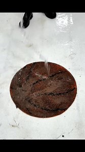 63K views · 1K reactions | #cleaning #asrm #fyp | Harry Rug Cleaning | Facebook