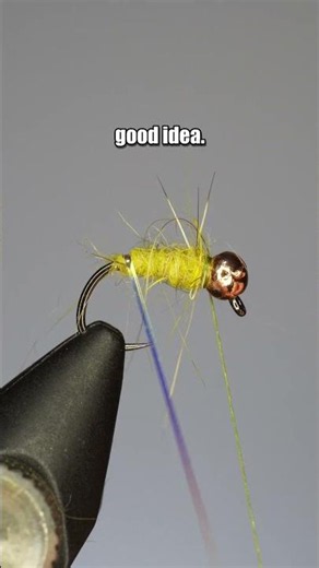 Mustard Walt's Worm | Fly Tying Tutorial