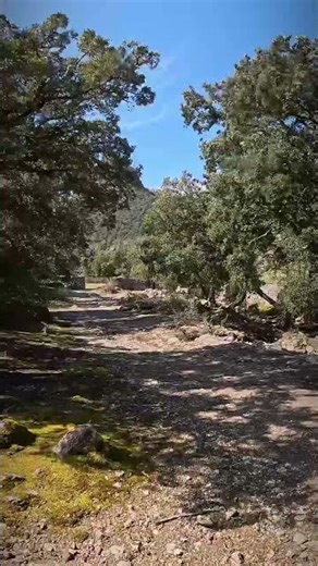 Chapter 12 - Heavy snowfall in Mallorca 29/03/2026