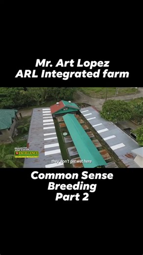 Art Lopez: Common Sense Breeding Part 2
