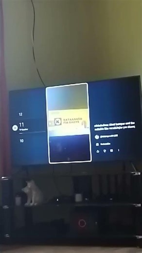 MY SHORT WAS FOUND ON YOUTUBE WHILE ON MY GUEST MODE.