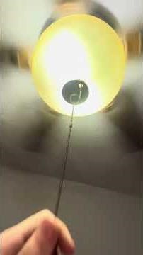 Patriot lighting Camden ii ceiling fan (Demo)