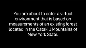 Virtual Forest Walkthrough