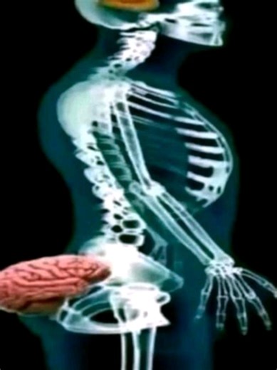 Roblox Animation Special: 5k Celebration Highlights