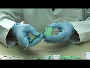 Fundamento de la inmunohistoquímica y microarreglos manuales
