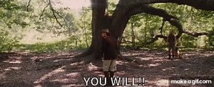 LEONARDO DICAPRIO YOU WILL MEME DJANGO UNCHAINED on Make a GIF
