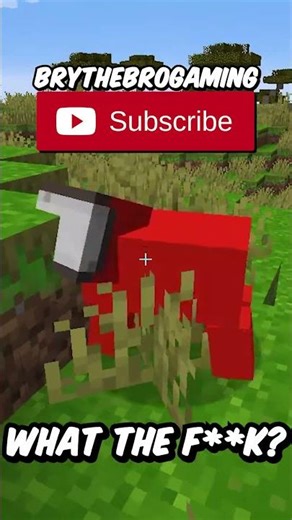 The WORST Minecraft Texture Pack! #shorts #minecraft