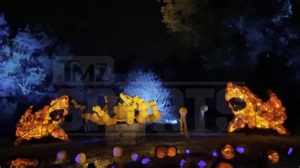 Kobe Bryant Honored With Incredible Halloween Pumpkin Tribute