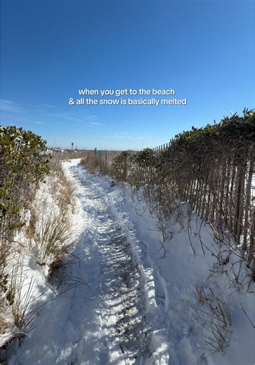Snow Excitement at the Beach