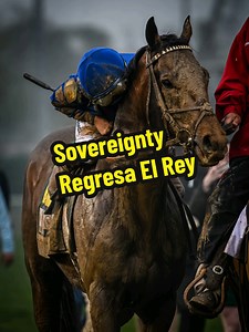 Sovereignty ¿Sigue siendo el rey? Sovereignty vuelve a la guerra #hipismo #sovereignty #horseracing #CarrerasDeCaballos