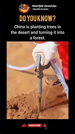 The Great Green Wall: China's Impossible Mission! #Shorts