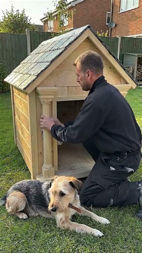 ✅ I Found an Abandoned Dog… So I Built Him a Home 🐶🏠#animalrescue