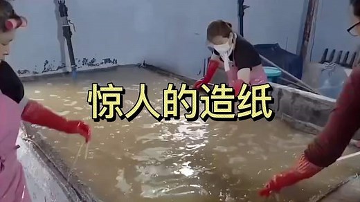 造纸全过程看看吧