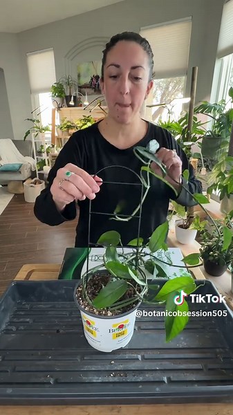 Botanic Obsession • Renee on TikTok