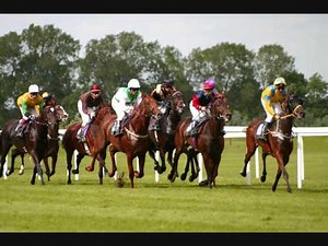 Funny Commentary-Horse Racing