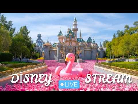 🔴 I'M BAAACK! Disneyland Live Stream 🦩Tips = Hide Flamingos