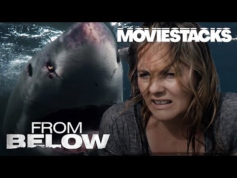 From Below | Trailer | MovieStacks