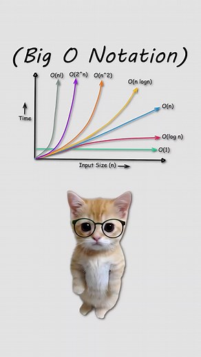 Understanding Big O Notation Through Cats