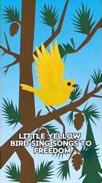 Little Yellow Bird (Lyric Video)