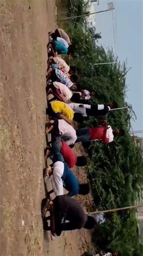 reverse Frog 🐸 #shortsfeed #fun