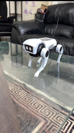 Futuristic Toy: The Next Generation of Robotics