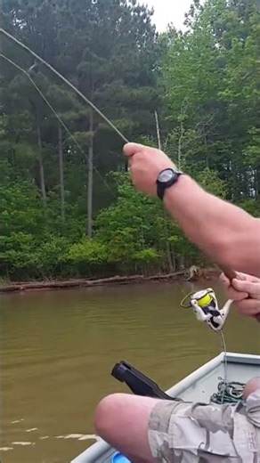 Shellcracker Fishing 💁‍♂️🏘🎣