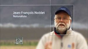 Les installations humaines, pièges mortels pour les animaux