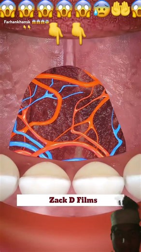 #facts #3danimation #hollend #comedyfilms #funny #comedymovies #automobile