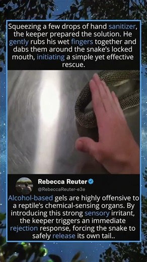 How Hand Sanitizer Can Save a Snake From Eating Itself! 🧴🐍#SnakeRescue #HandSanitizerHack