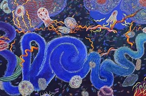 "Endosymbiosis. Homage to Lynn Margulis" (2012), Shoshanah Dubiner, animation by David Domingo | Videos | CCCB