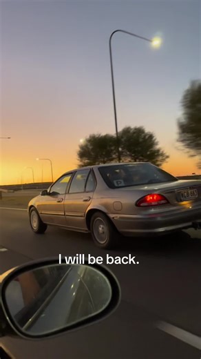 Cartoon Adventures: Falcon Returns to South Australia