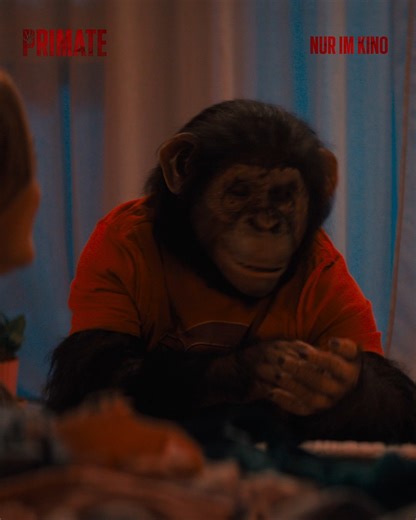喝 So schnell kann eine friedliche Auszeit zum blutigen Albtraum mutieren 喝  PRIMATE  Ab dem 29.01. bei uns im Kino!  https://cineworld-luenen.de/  #lünen #dortmund #newrelease #release #sony #sonypictures #cineworldlünen #neustart #PRIMATE #primatefilm | Cineworld Lünen | Facebook