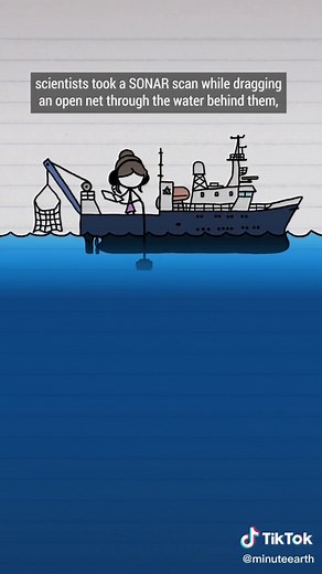 Mind-Blowing Ocean Discoveries 🐠🌊