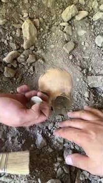 🏚️ Detector Went Crazy Inside Ruins! #metaldetecting #treasuresearch #metaldetector