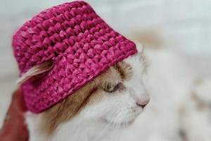 Cat Crochet Pattern PDF –Crochet Cat Pattern – Crochet Cat Amigurumi – Easy Cat Crochet Pattern for Beginners – Printable