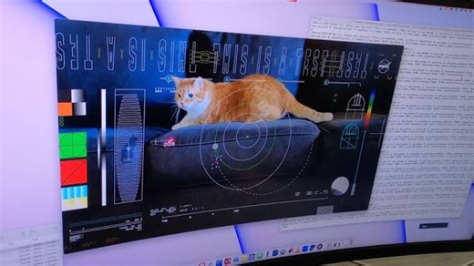 NASA streams cat video from space