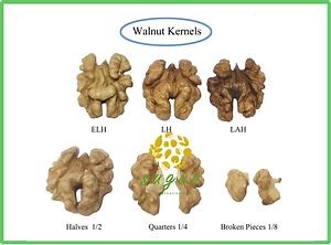 [Hot Item] 1/2 Walnuts Lh 185 Xinjiang Elh New Crop