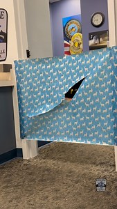 We tried 😂 10 Days to Christmas Countdown ✨- Day 5️⃣: Viral Wrapping Paper Challenge 🎁🐾🐕 . . #scottsdalepd #spd #wrappingpaperchallenge #k9unit #k9 #holidays #holidaycheer #challenge #happyholidays #merrychristmas #christmascountdown #scottsdale #az | Scottsdale Police Department