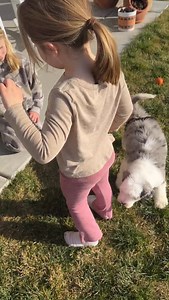 The newest member of the Mendes family…. | Chad Mendes